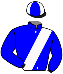 Casaque du n°9 — MAMJACK SACHA