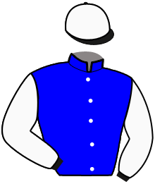 Casaque du n°3 — JOBERT DU MOULIN