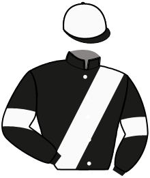 Casaque du n°2 — HARMONIA THE BEST