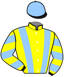 Casaque du n°8 — JUNIOR DU VIVIER