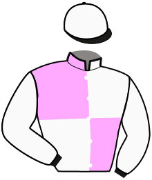 Casaque du n°7 — IRVING DE BAILLY