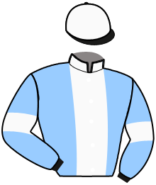 Casaque du n°2 — LARABIEN