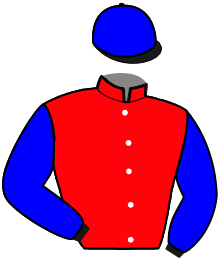 Casaque du n°3 — LIPINSKA