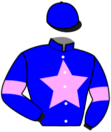 Casaque du n°13 — JUST BUILT