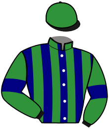 Casaque du n°14 — IVAJALE