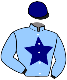 Casaque du n°4 — KOMAN