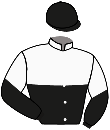 Casaque du n°2 — EL ZARKA D.A.