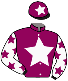 Casaque du n°1 — GOLDEN VALE