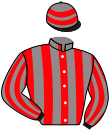 Casaque du n°7 — REINARDO