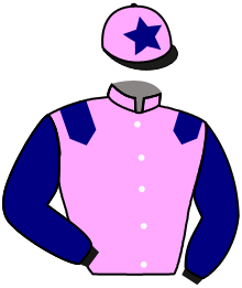 Casaque du n°6 — SIR MAURICE