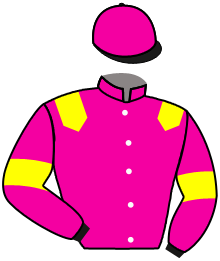 Casaque du n°5 — ALISTO KING