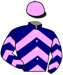 Casaque du n°1 — ZOLIA