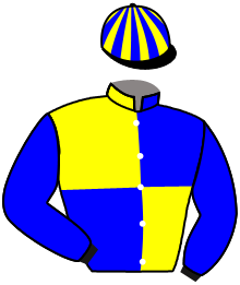 Casaque du n°14 — AMIDABI