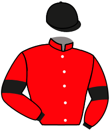 Casaque du n°12 — GOTELLO
