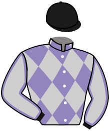 Casaque du n°13 — GADZART