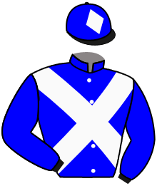 Casaque du n°14 — MR DOMID'OR