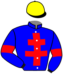 Casaque du n°9 — FABELLA