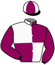 Casaque du n°10 — WHITE PLATIN