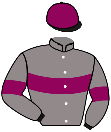Casaque du n°11 — CERVARO