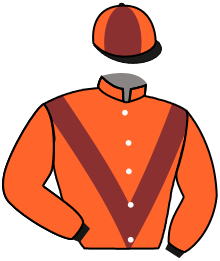 Casaque du n°16 — WAZIERS