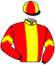 Casaque du n°14 — KATDIOR