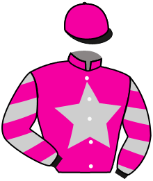 Casaque du n°16 — PALM HORSE
