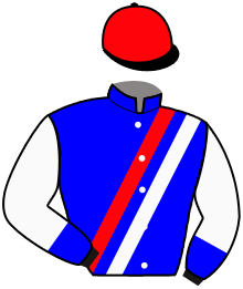 Casaque du n°4 — ESTRELLON CRUCINO