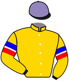 Casaque du n°7 — FERBLACK