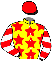 Casaque du n°8 — THE TORNADO