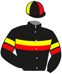 Casaque du n°9 — ROCK DE ORO