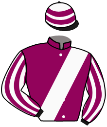 Casaque du n°4 — APADRINADOR