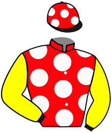 Casaque du n°5 — POKER GAME