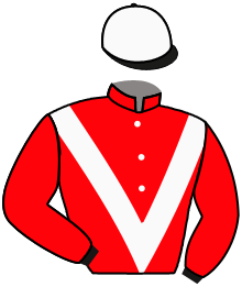 Casaque du n°9 — VICHITO