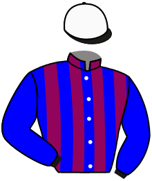 Casaque du n°1 — LADY ROSALIND