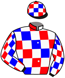 Casaque du n°3 — FLAGRAISER