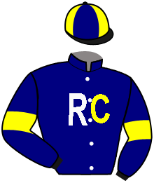 Casaque du n°4 — LORD D'OR