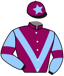 Casaque du n°6 — SERGEI BREEZE