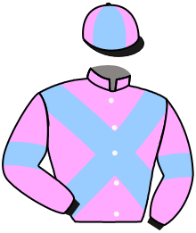 Casaque du n°3 — MYTHICAL BIRD
