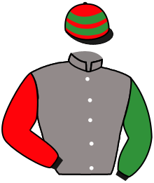 Casaque du n°6 — MOLO DEL PALAZZO
