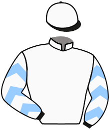 Casaque du n°10 — GUINNESS LAD
