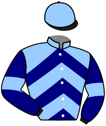 Casaque du n°6 — SALIKO