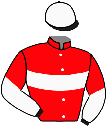 Casaque du n°7 — DANEHILL STAR