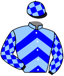 Casaque du n°2 — FLAG CARRIER