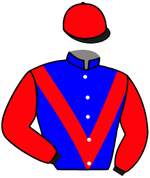 Casaque du n°3 — GLADIADORA