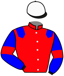 Casaque du n°8 — RIVER WHARFE