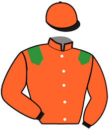 Casaque du n°2 — JADE DES BRETTES