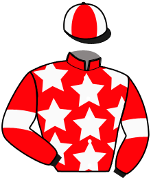 Casaque du n°1 — MISTRAL JANEIRO