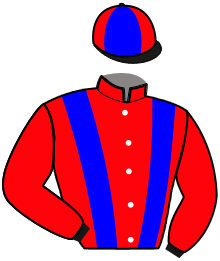 Casaque du n°2 — MISTHOS CHRISTAL