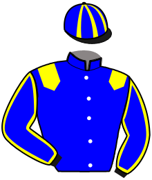 Casaque du n°2 — LORD DU GRAIS