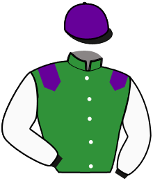 Casaque du n°7 — NOBLE AVENUE